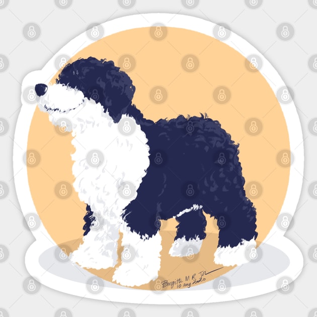 Spanish water dog Sticker by iambirgitte